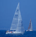 �Z�u���X�w�u��