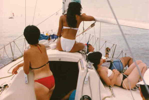 VWEANO�̏����N���[�B