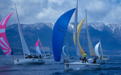 �Q���O�W�c�c�q�œ����o��