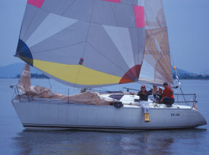 �Α��̖��Ⴑ���܂�