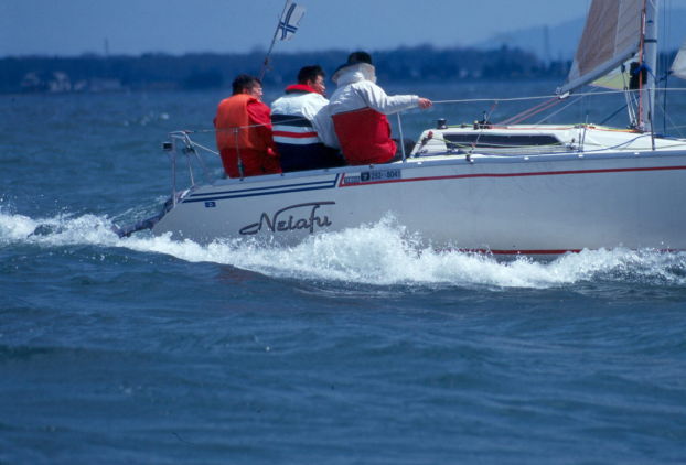 �����̃l�C�G�t