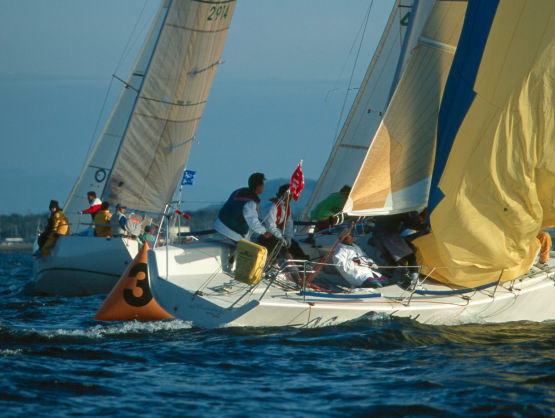 ���}�[�N��q�}���f�[�i�C�g