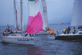 �Â��ȏ�}�[�N�̉�q